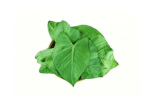 Taro Leaf - अडवी - અળવીના પાન